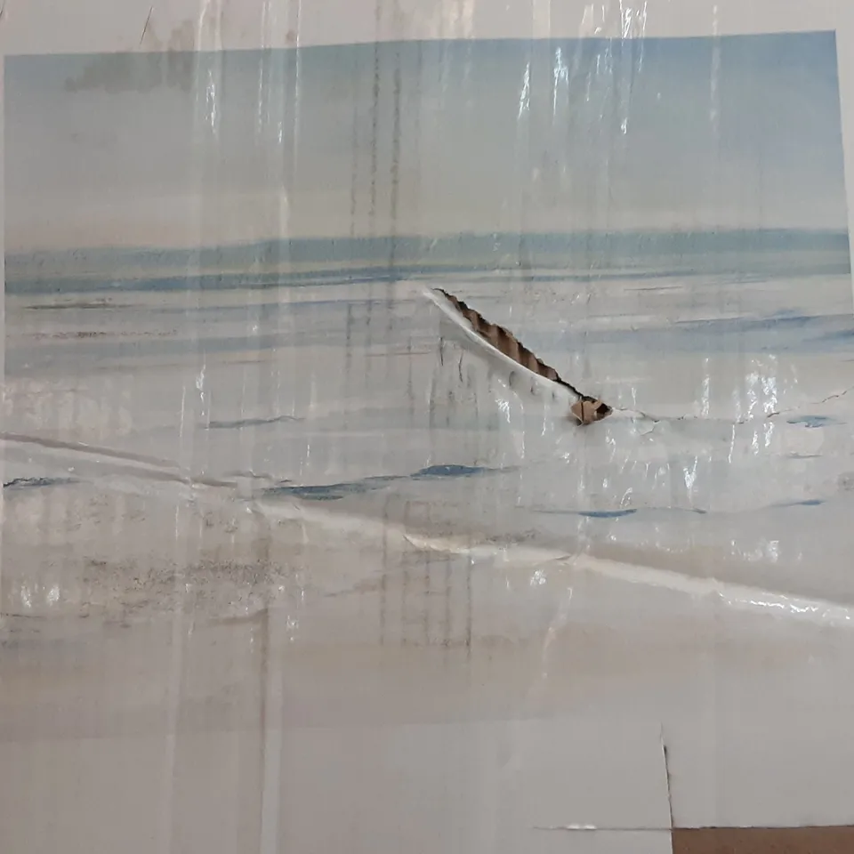 BOXEDXL BEACH CANVAS- 120 X 150 CM