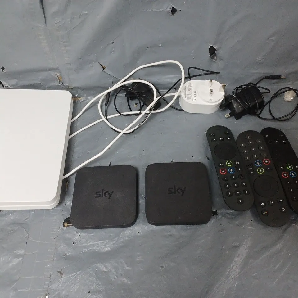 CAGE OF APPROXIMATELY 8 ASSORTED HOUSEHOLD ITEMS TO INCLUDE - STORAGE BOX, SKY BOX, GLASS CHOPPING BOARD, ASH BIN, AND MEOW PARTY BAGS ETC.  ETC. - COLLECTION ONLY 