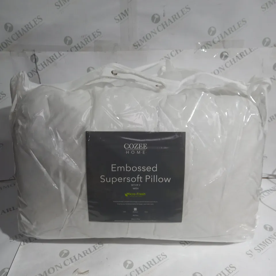 SET OF 2 WHITE PILLOWS WITH FEATHERS