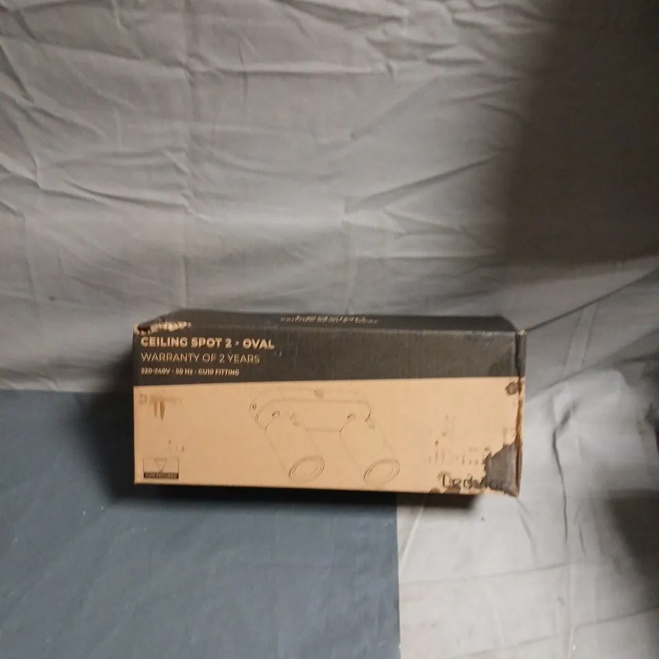 CEILING SPOT 2 - OVAL, BOXED