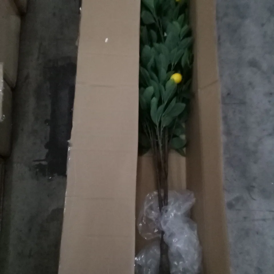 BOXED 150CM ARTIFICIAL LEMON TREE