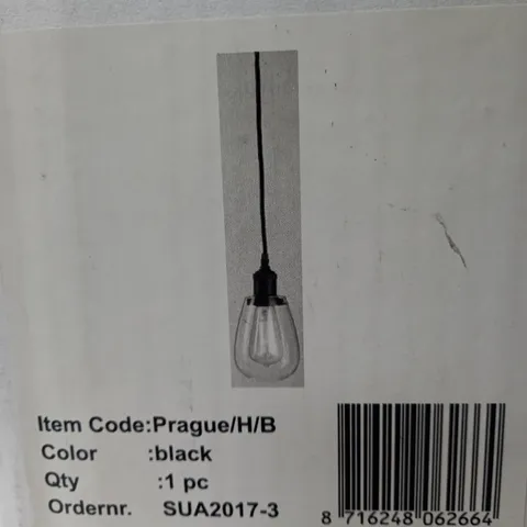 1 LIGHT MINI PENDANT IN BLACK