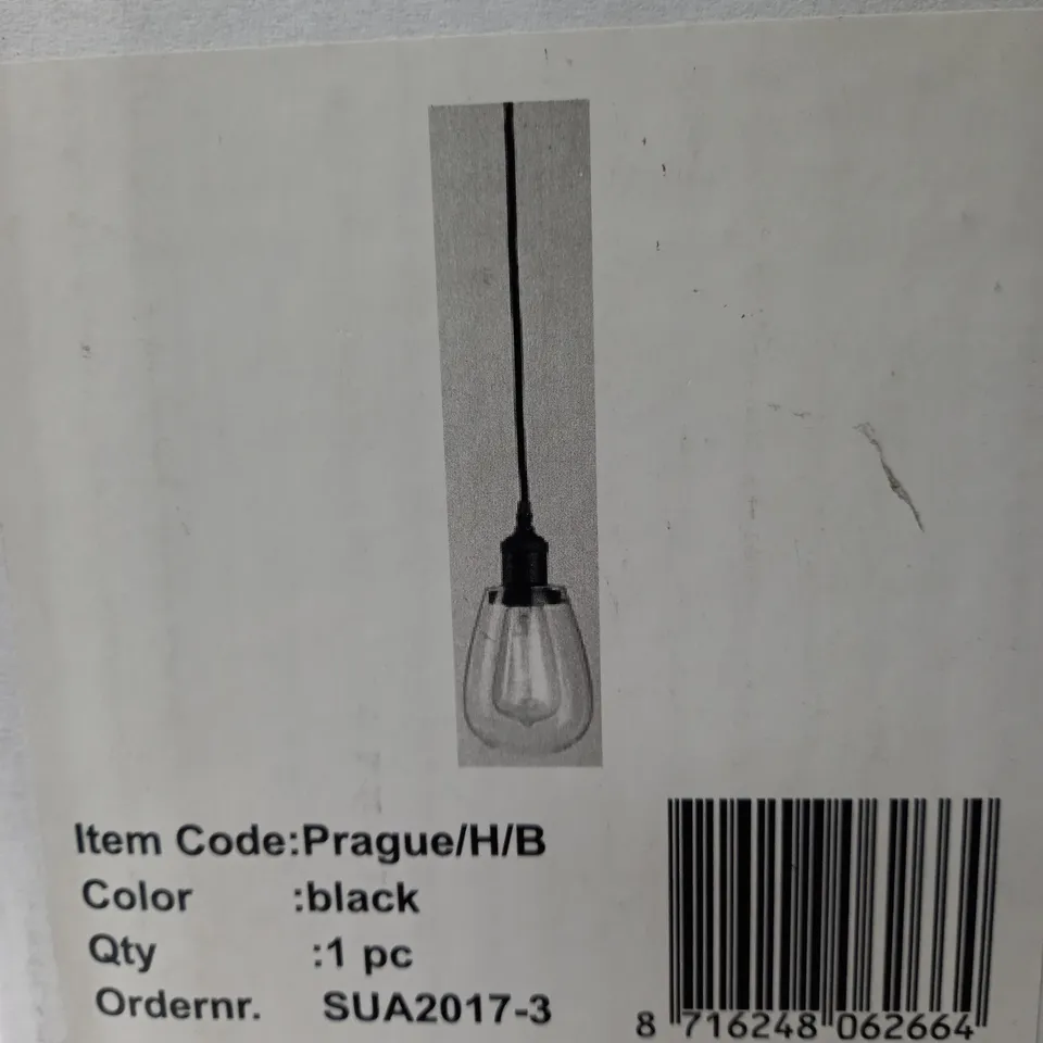 1 LIGHT MINI PENDANT IN BLACK 