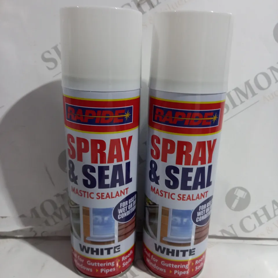 BOX OF 24 RAPIDE SPRAY & SEAL MASTIC SEALANT WHITE 