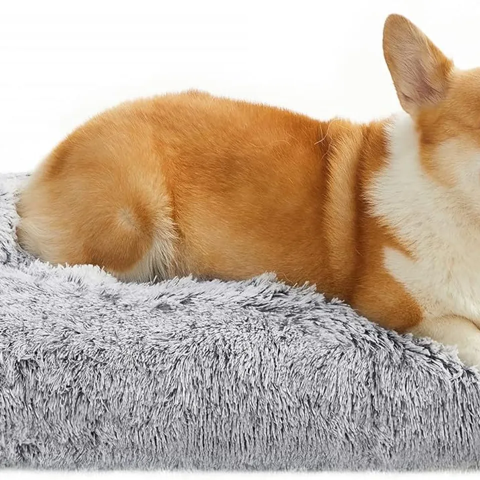 BOXED FEANDREA DOG BED