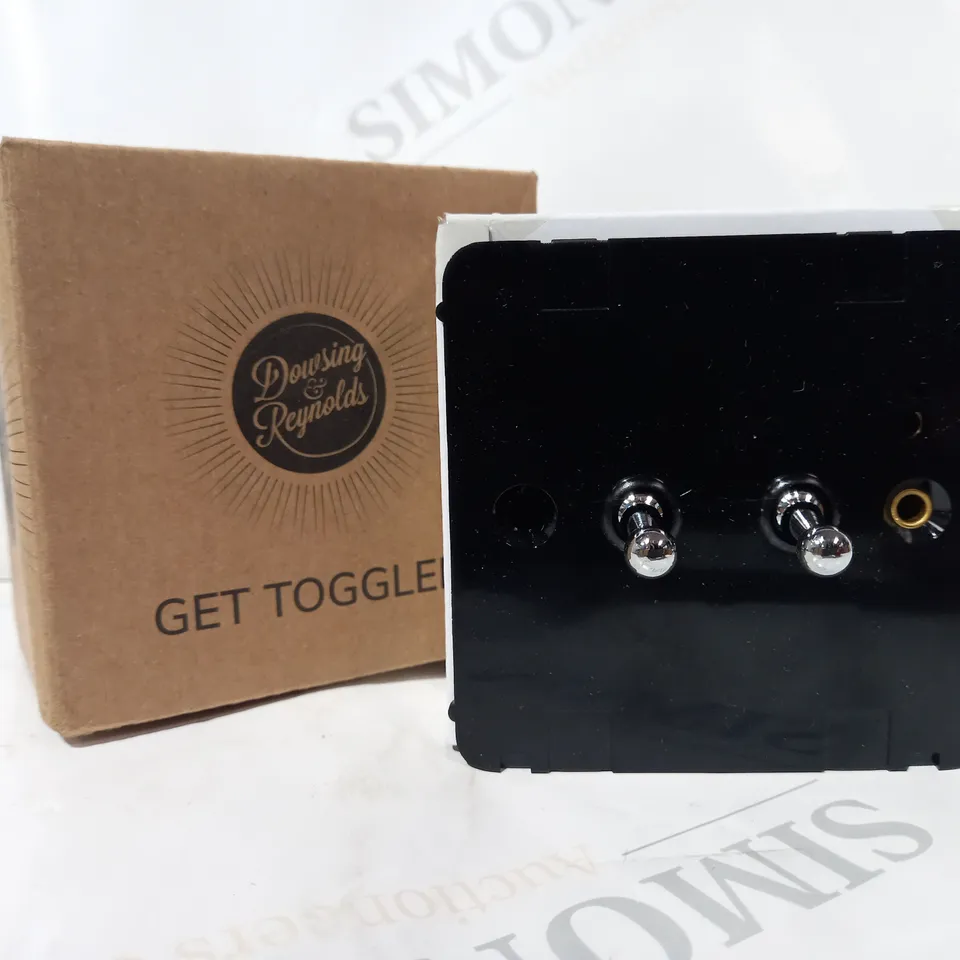 BOXED DOWSING & REYNOLDS 2 GANG TOGGLE SWITCH