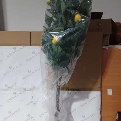 BOXED DECO LEMON TREE / COLLECTION ONLY 