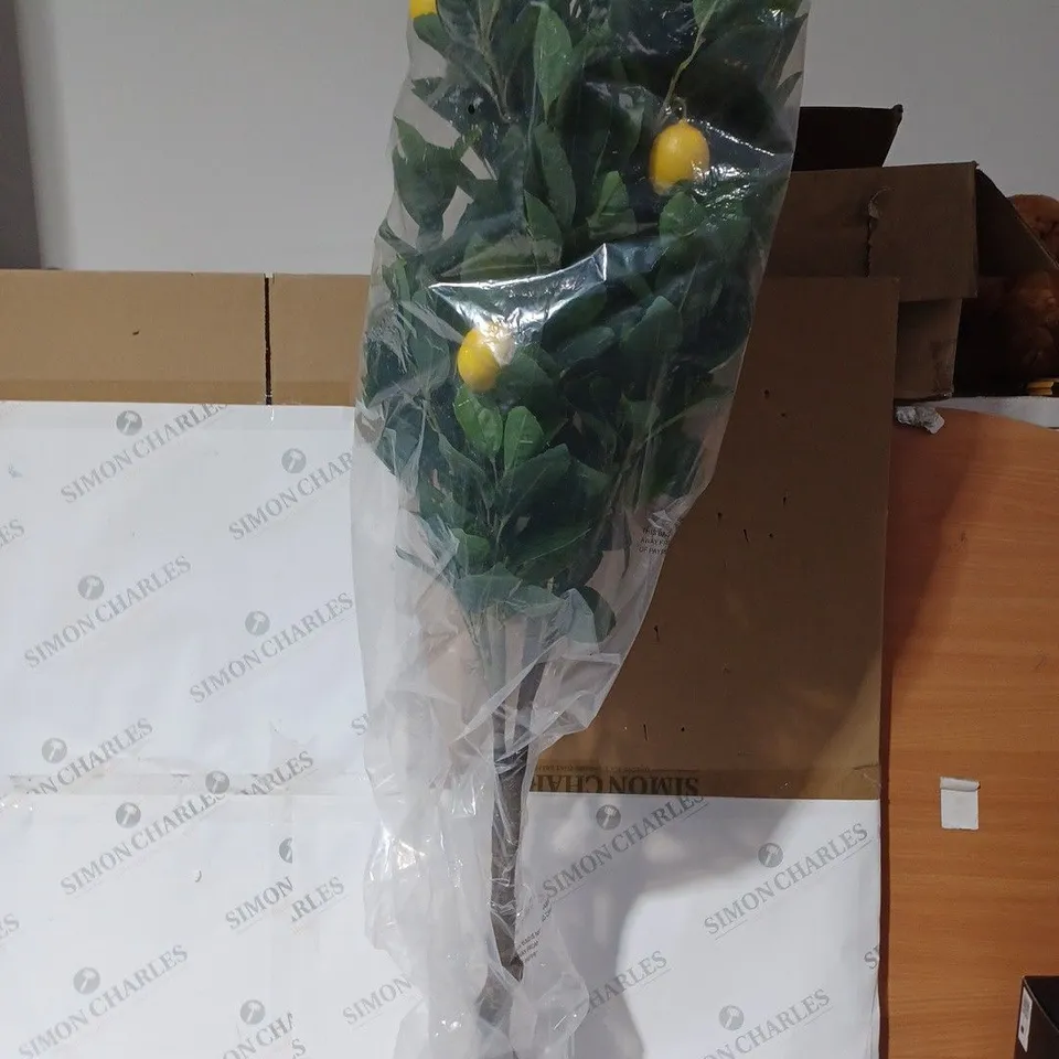 BOXED DECO LEMON TREE / COLLECTION ONLY