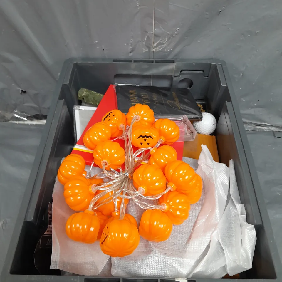 APPROXIMATELY 10 ASSORTED HOUSEHOLD ITEMS TOO INCLUDE , LIVERPOOL FC GREATEST MANGERS BOOK , HALLOWEEN LIGHTS , ETC 