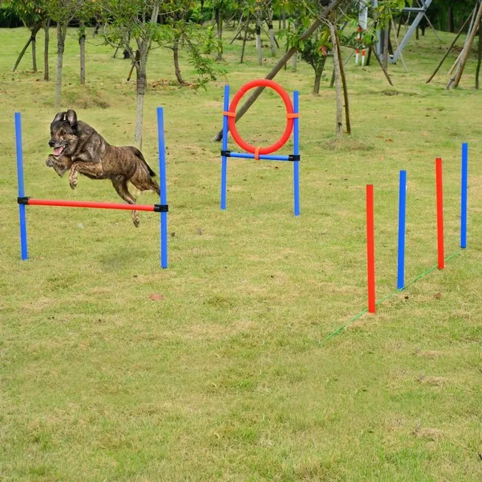 BOXED ELANNA PET AGILITY OBEDIENCE TRAINING SET