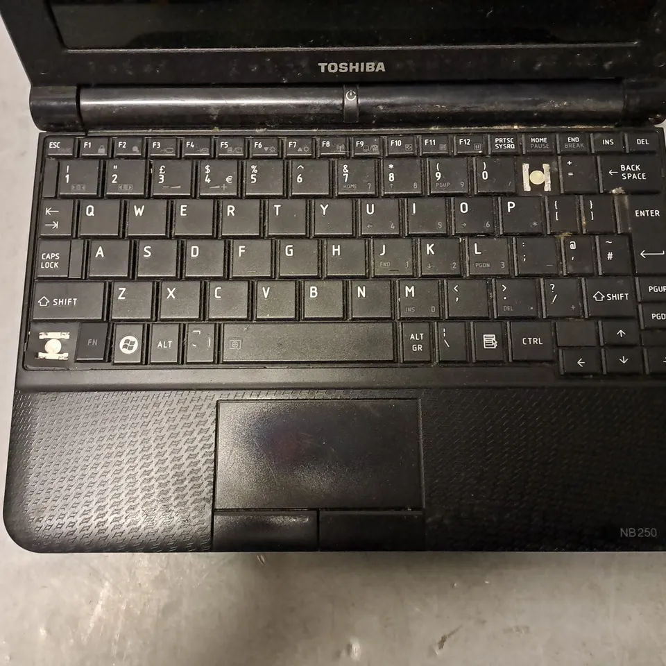 TOSHIBA NB250-108 