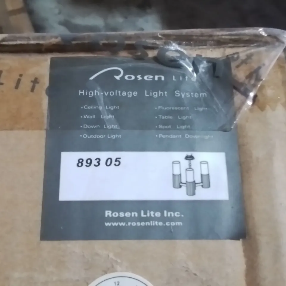 LOT OF 10 BOXED ROSEN LITE PENDANT LIGHTS