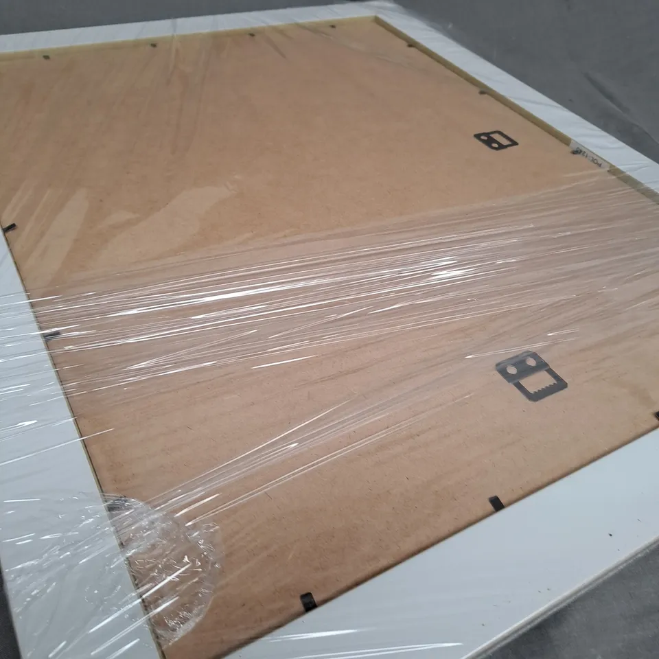 2 X PICTURE FRAMES BIG AND SMALL