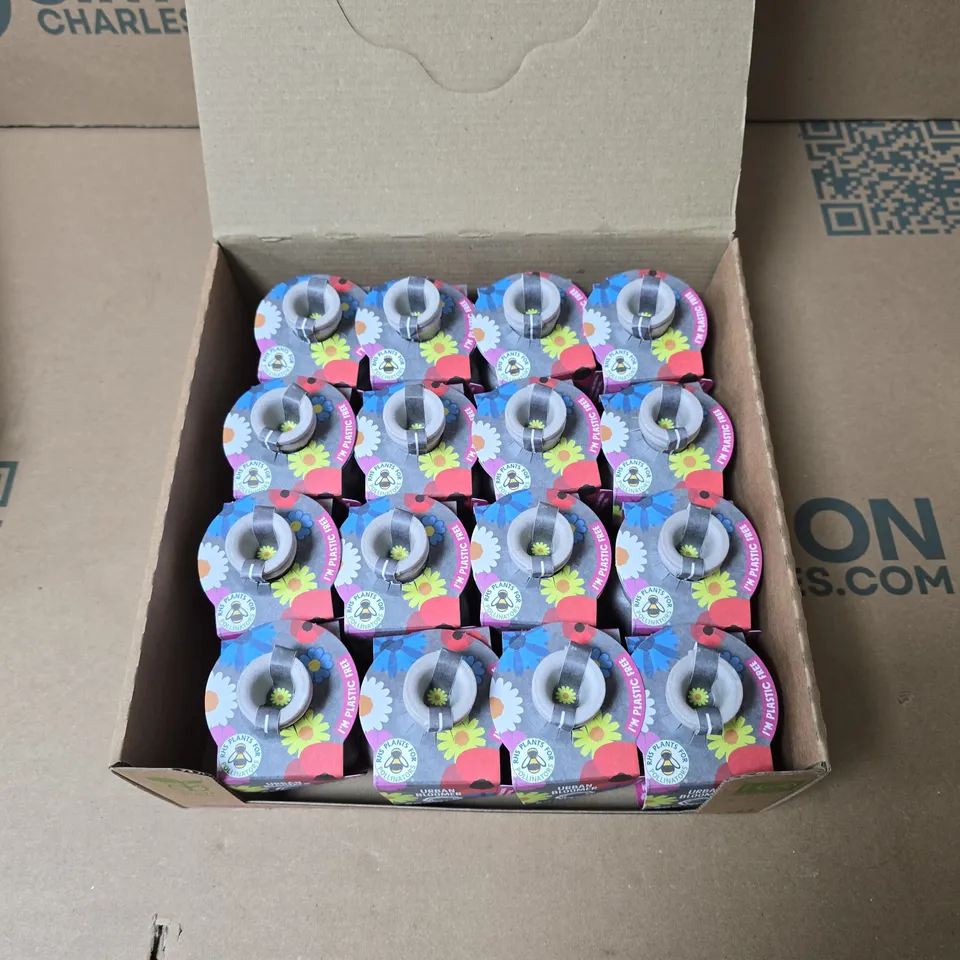 SEEDBOM URBAN BLOOMER SEED BOMBS – 16 PACK