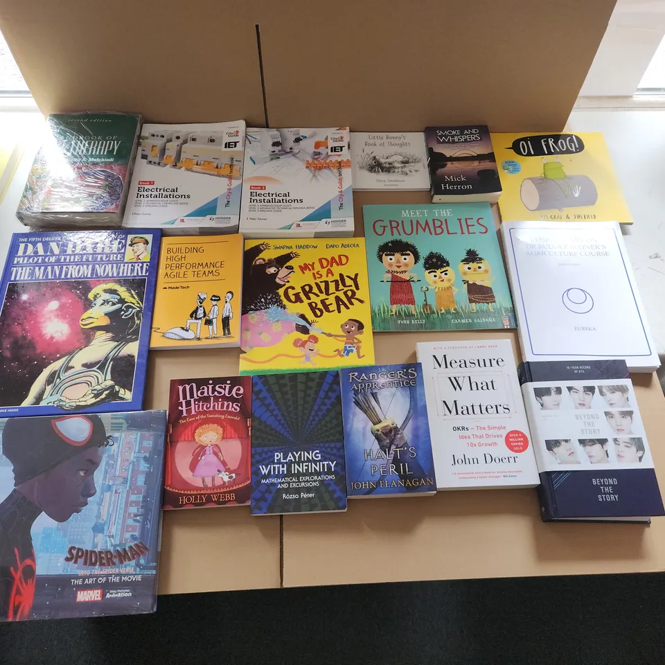 CAGE OF A SIGNIFICANT QUANTITY OF ASSORTED BOOKS BY CAROLINA BUZIO, JENNETTE MCCURDY, THE HAIRY BIKERS, JOHN COATES, JEFF KINNEY,  TERRY NATION, ROBERT GODDARD,  ANDREW LLOYD WEBBER, ETC