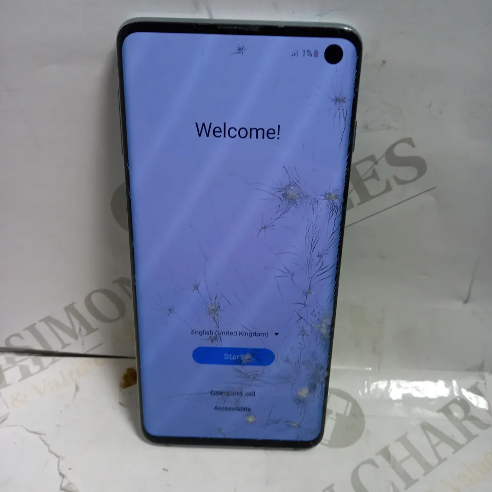 SAMSUNG GALAXY SM-G973F