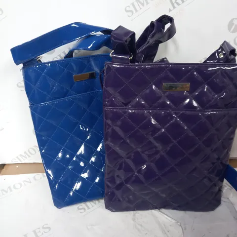 PURPLE AND BLUE SIDE BAGS