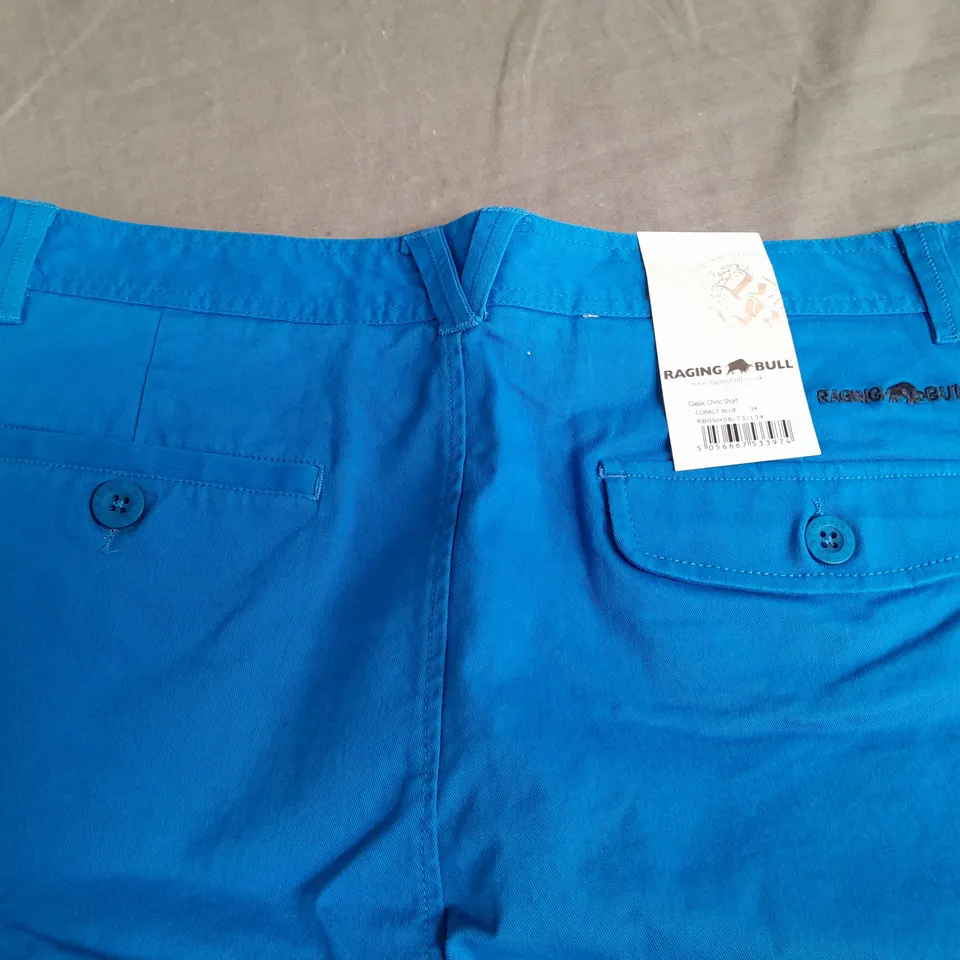 RAGING BULL CLASSIC CHINO SHORTS IN COBALT BLUE - 34