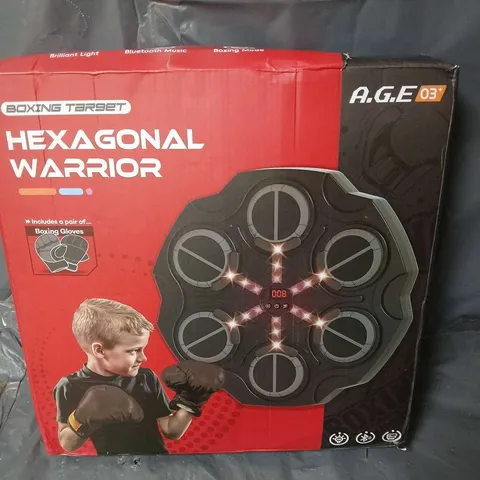 BOXED HEXAGONAL WARRIOR BOXING TARGET