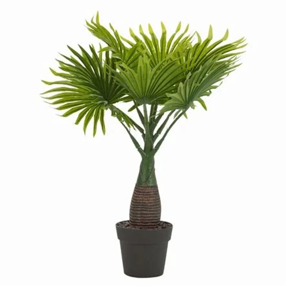 PALM FLOOR TREE IN POT 