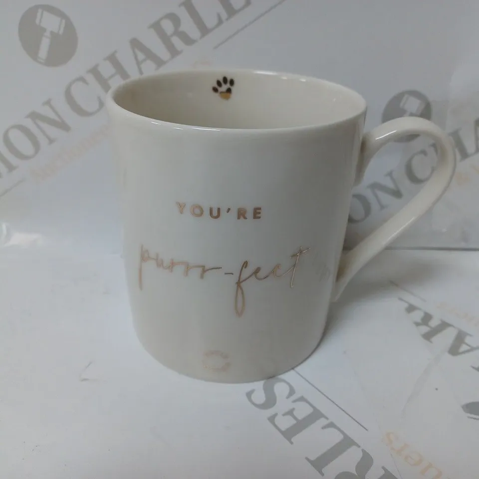 BOXED KATIE LOXTON YOU'RE PURR-FECT PORCELAIN MUG