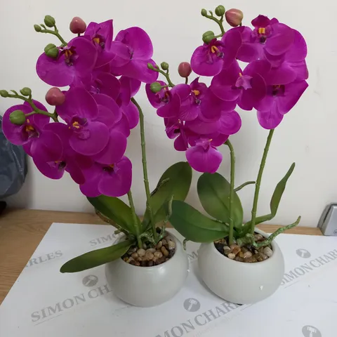 BOX OF 2 SYNTHETIC FLOWERS AND POT