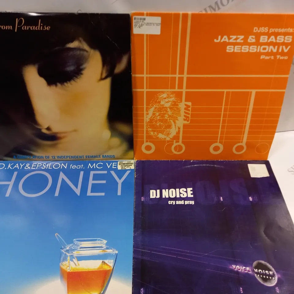 APPROXIMATELY 10 ASSORTED VINYLS FROM VARIOUS ARTISTS TO INCLUDE DUA LIPA, DJ NOISE, BOBBY GILLESPIE ETC 