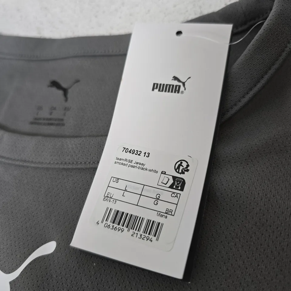 PUMA TEAMRISE JERSEY – GREY/BLACK, UK L (US L, EU L)