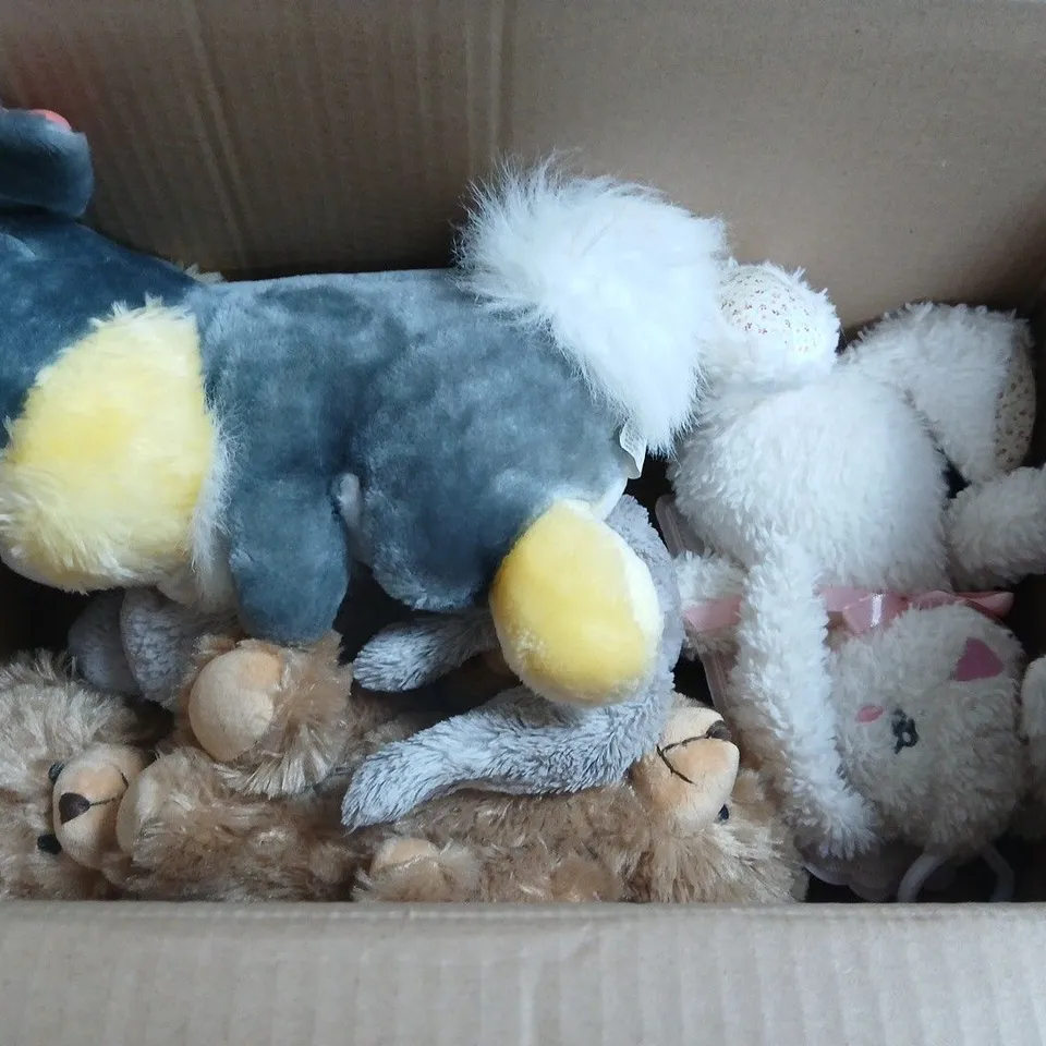 LOT OF APPROXIMATELY 20 ASSORTED PLUSHIES TO INCLUDE WORRY MONSTER AND GABBYS DOLLHOUSE