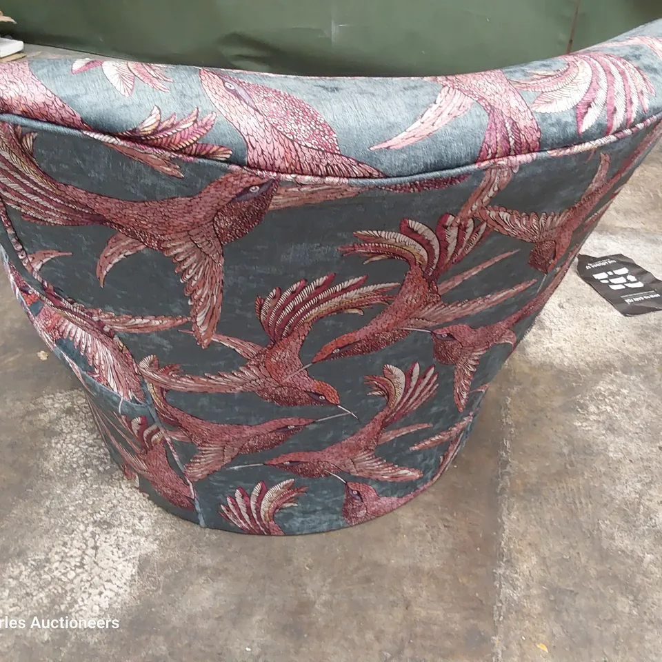 QUALITY BRITISH DESIGNER LOUNGE Co. NOAH OCCASIONAL CHAIR BIRD OF PARADISE FABRIC