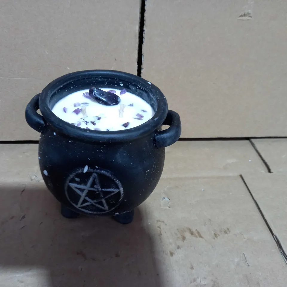 CAULDRON PLANT POT