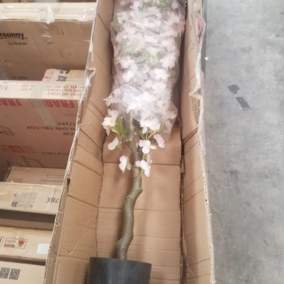 BOXED PLATED TOP FLOWER WITH IVORY FRAME