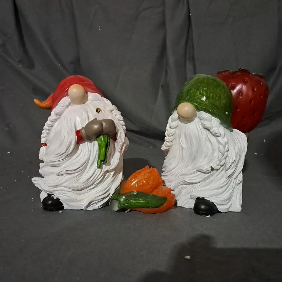 HOME2GARDEN SET OF 2 LED GNOMES