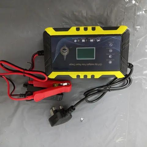 12V PULSE REPAIR CHARGER