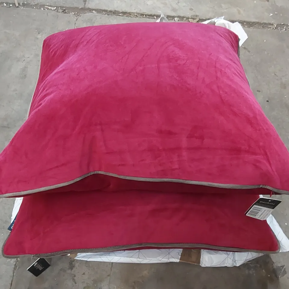 BAGGED PAIR OF DESIGNER SQUARE CUSHIONS WITH FILLING (1 ITEM)