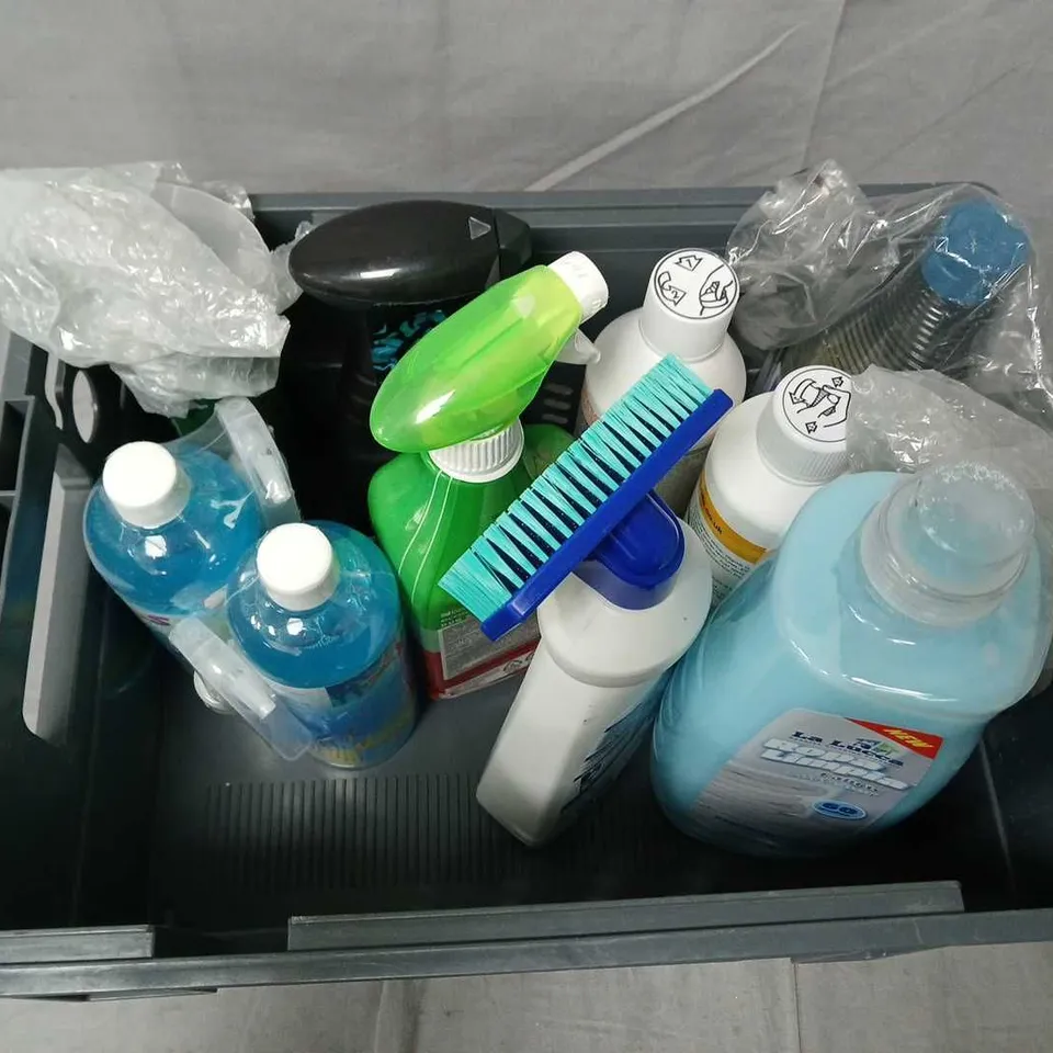 APPROXIMATELY 10 ASSORTED LIQUIDS TO INCLUDE ECOFECTIVE BUG & MILDEW CONTROL, FOUNTAIN CLEANER, CARPET STAIN REMOVER, ETC - COLLECTION ONLY