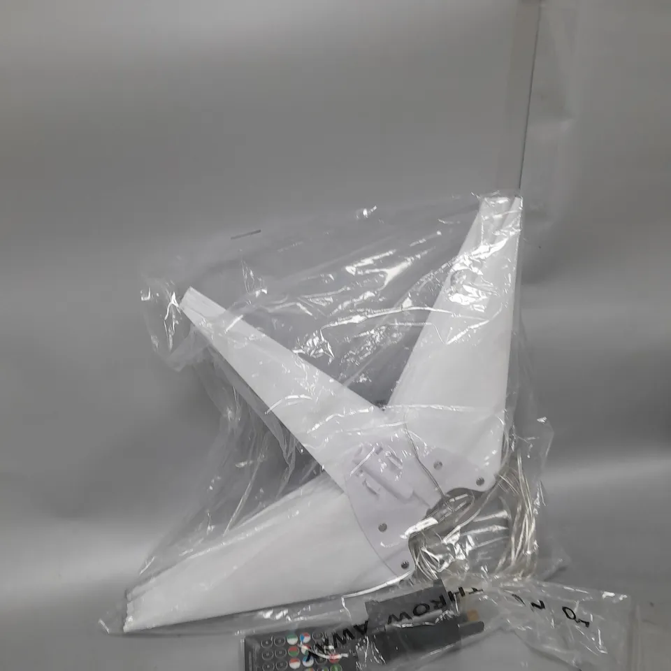 BOXED PACIFIC ACCENTS STAR BURST LIGHT