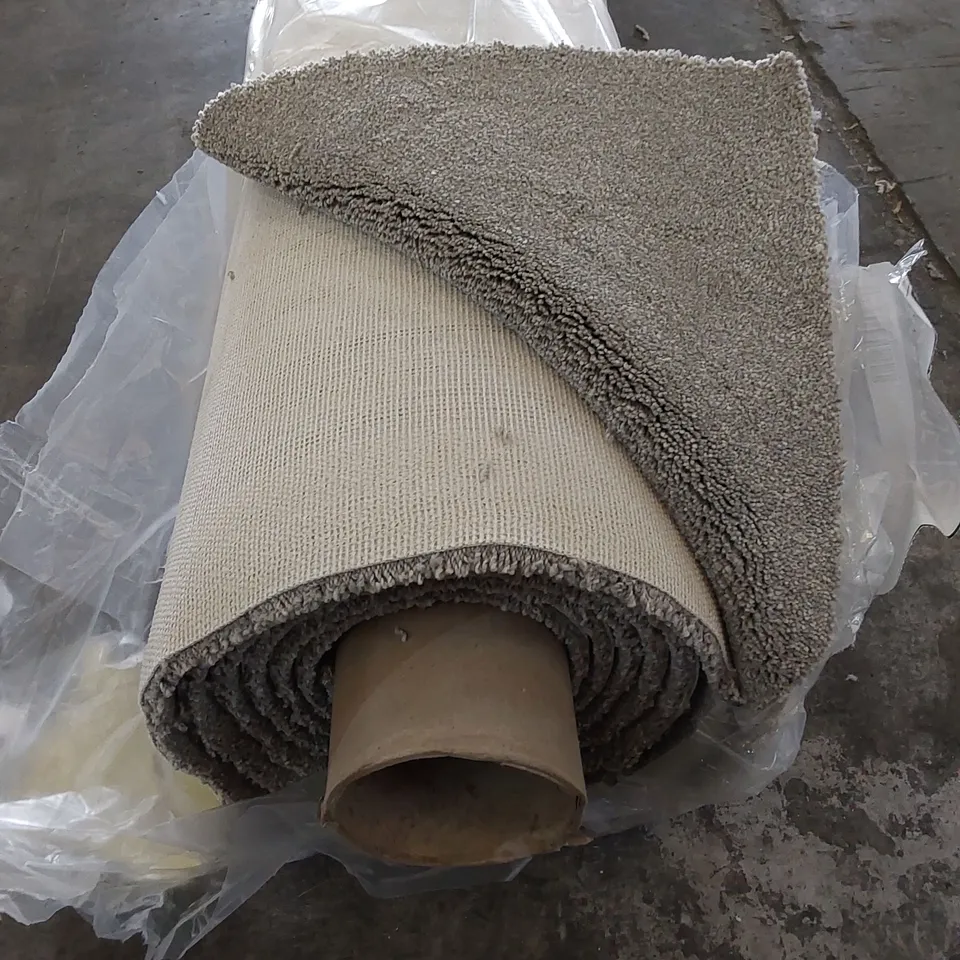 ROLL OF QUALITY  FIRST IMPRESSIONS WELLDRESSED CARPET // SIZE: APPROXIMATELY 4 X 4.3m