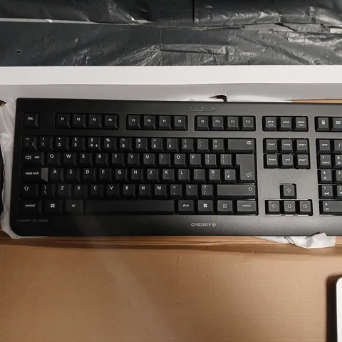 CHERRY DC 2000 KEYBOARD WITH CHERRY MOUSE 