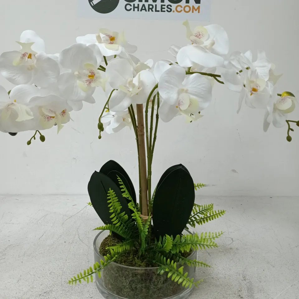 REAL TOUCH 5-STEM FAUX ORCHID WITH FERN IN GLASS POT