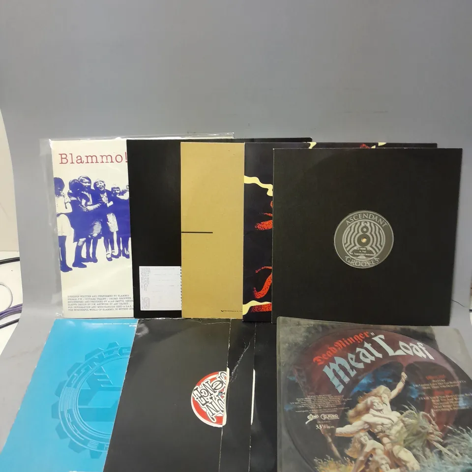 LOT OF 10 ASSORTED VINYL RECORDS, TO INCLUDE - MEATLOAF DEAD RINGER - DROPPIN' SCIENCE 005 - ASCENDANT GROOVES BLU MAR TEN - ETC