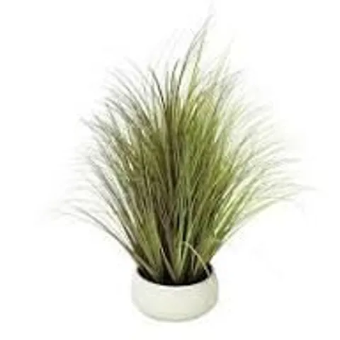 K BY KELLY HOPPEN INDOOR OUTDOOR PRE-LIT LOMANDRA GRASS W/CEMENT POT