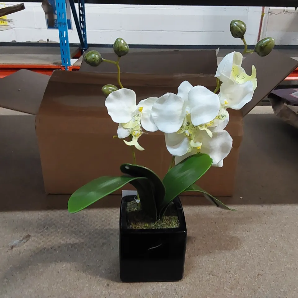 BOXED ARTIFICIAL ORCHID PLANT IN POT (1 BOX)