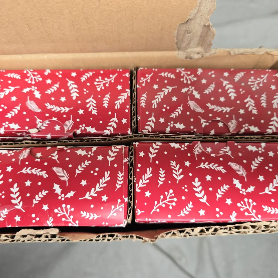 4 BOXED WINTER BERRIES BOTANICAL DIFFUSERS - COLLECTION ONLY