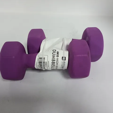 PAIR OF KAYMAN 6KG DUMBELLS - PURPLE