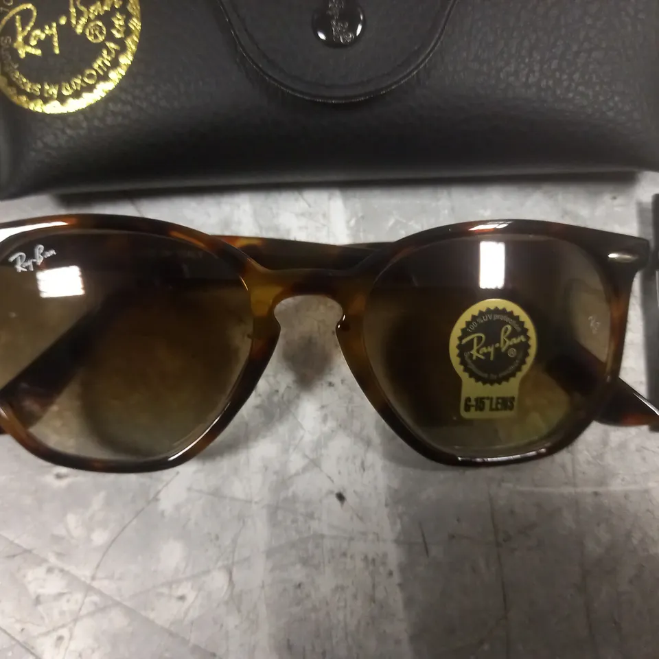 RAYBAN BROWN PATTERNED GLASSES WITH G-15 LENS IN CASE 