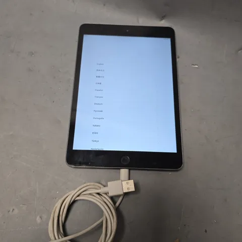 APPLE IPAD A1599