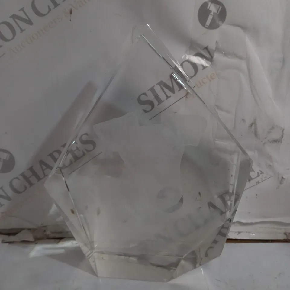 UNBRANDED 3D DOG GLASS DECORATION