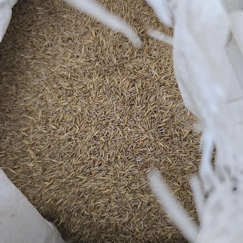 3 BAGS OF GRASS SEED