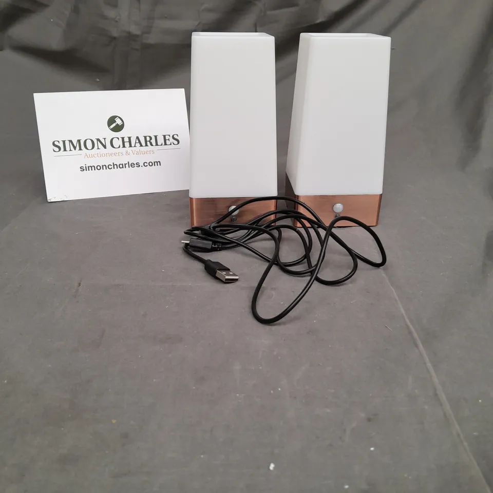 SET OF 2 WIRELESS LAMPS WITH CHARGING CABLE